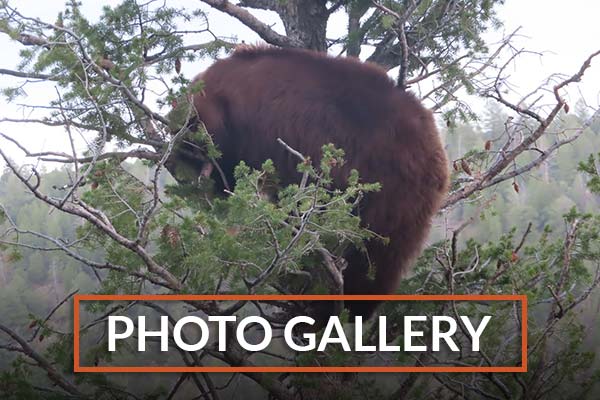 Photo Gallery Notellum Outfitters Photo Gallery